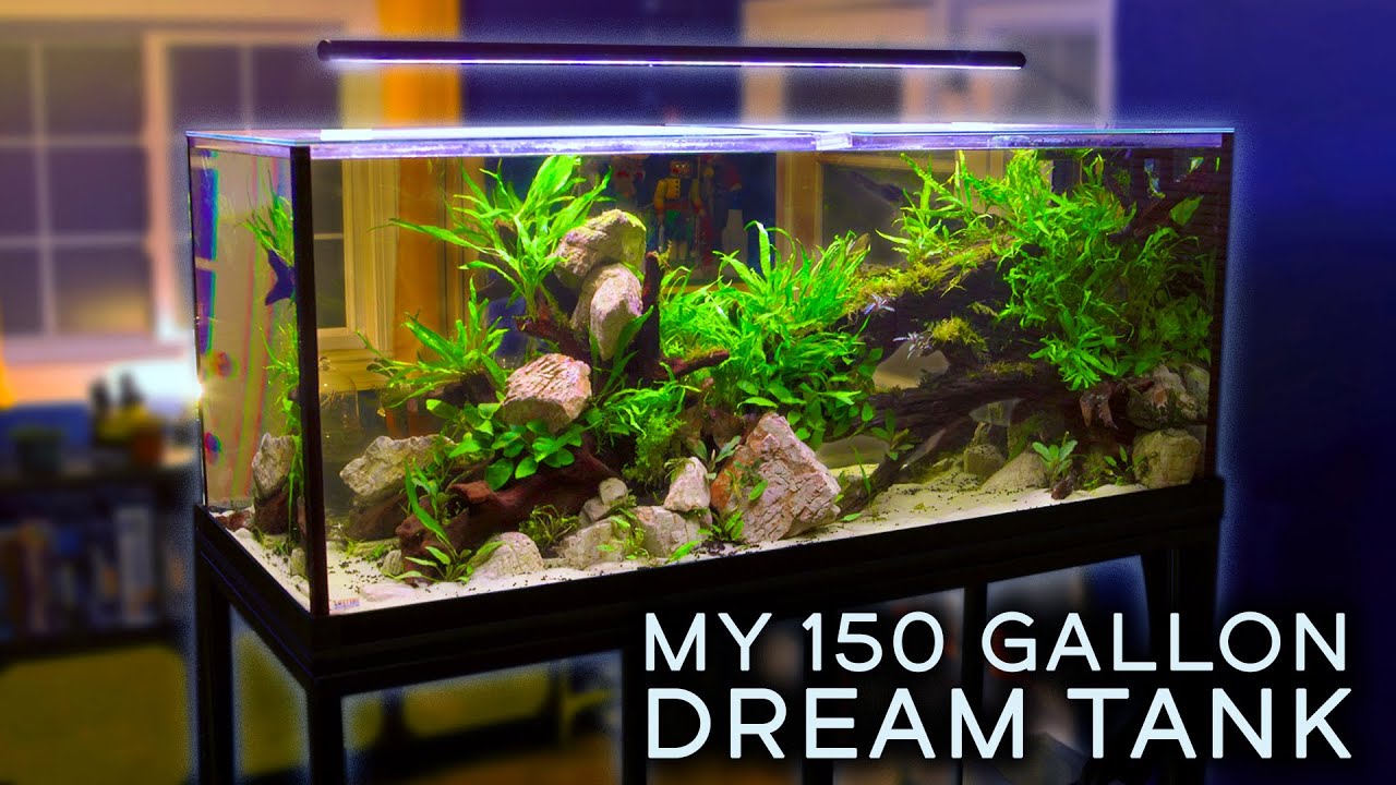 150 Gallon Fish Tank