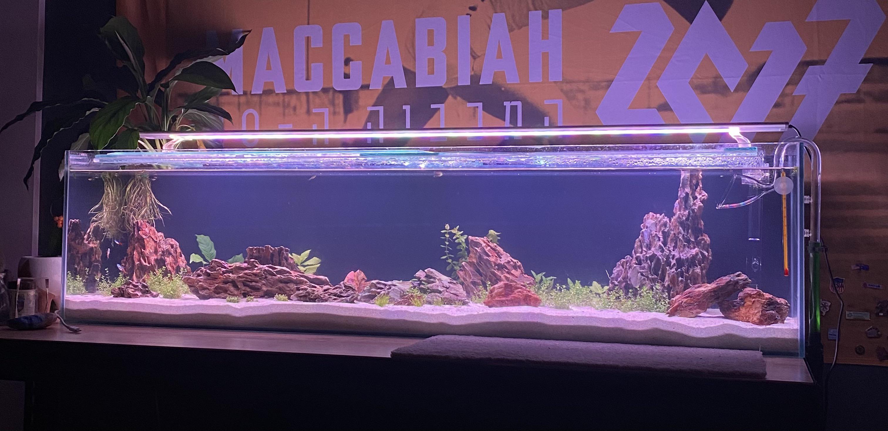 30 Gallon Tank