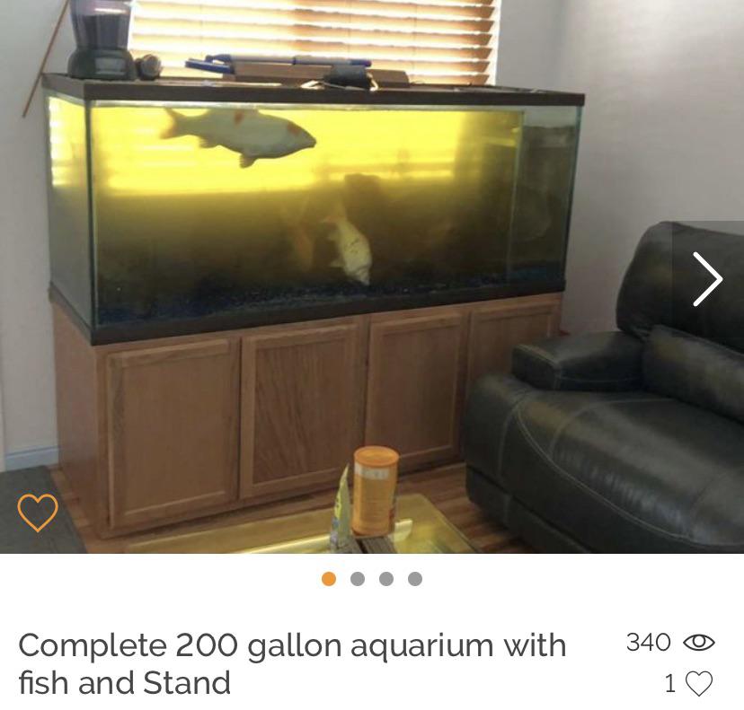 Setting Up a 100 Gallon Aquarium