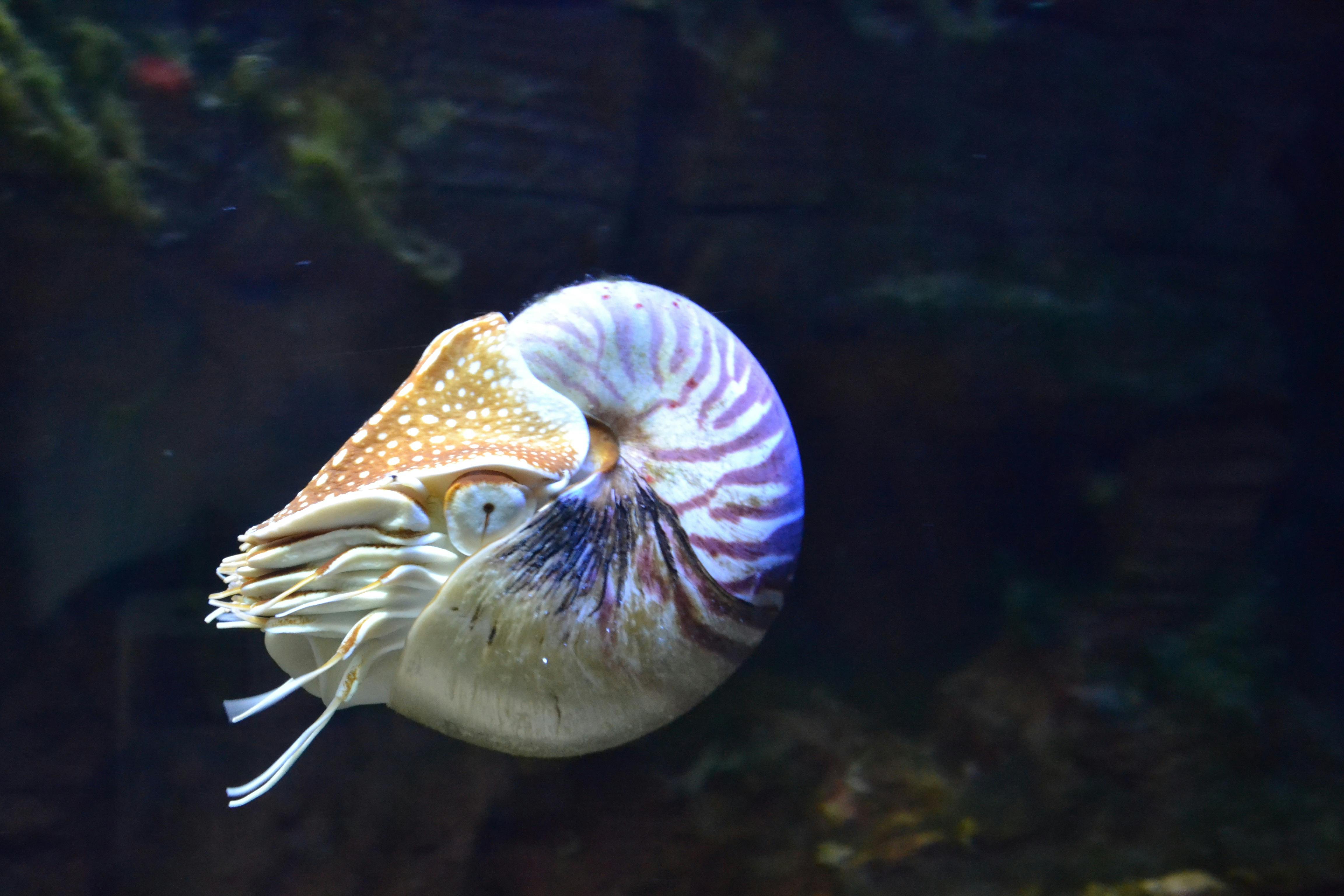 Stunning View of Denver Aquarium