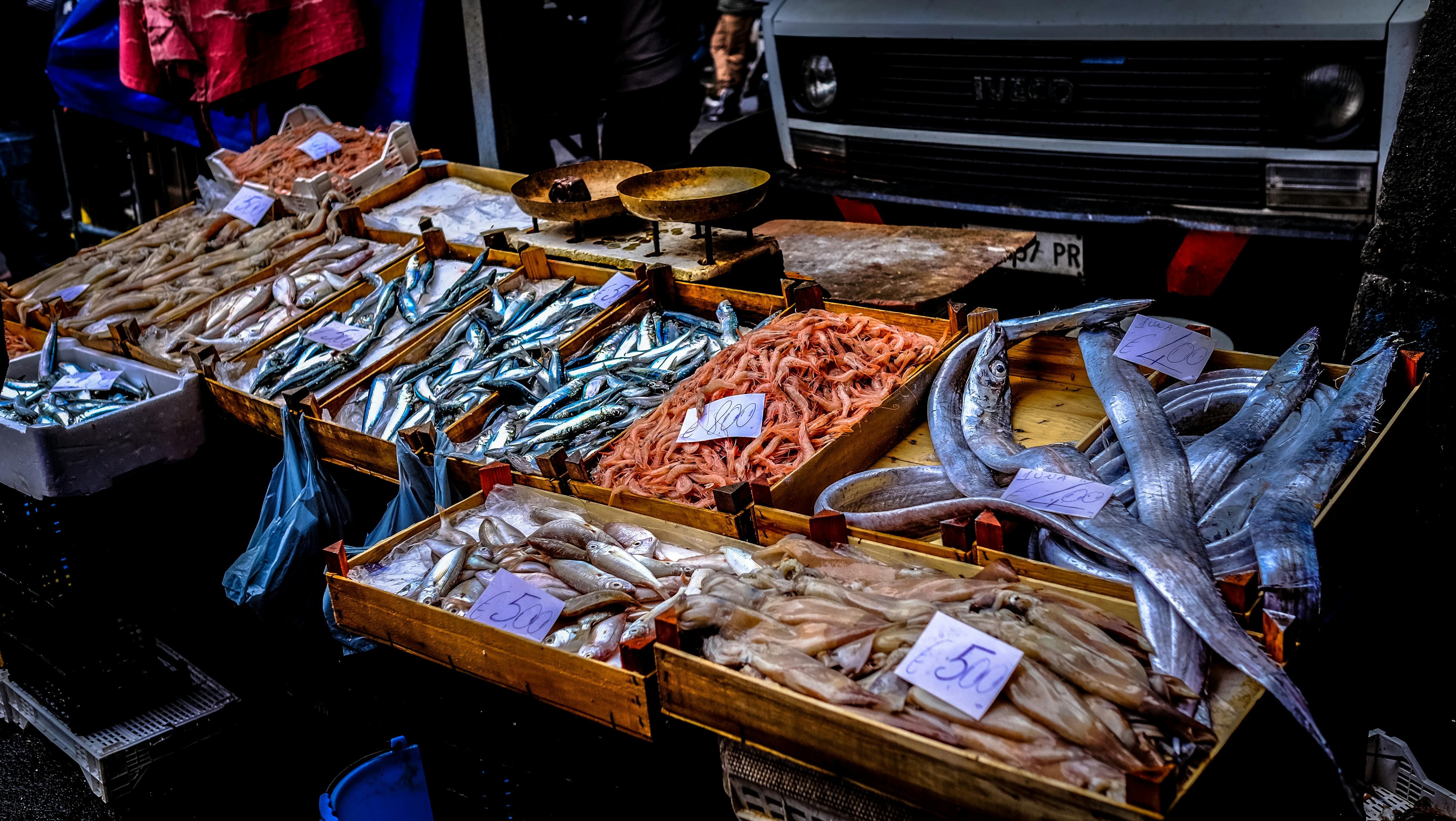 Fish Market in Del Mar