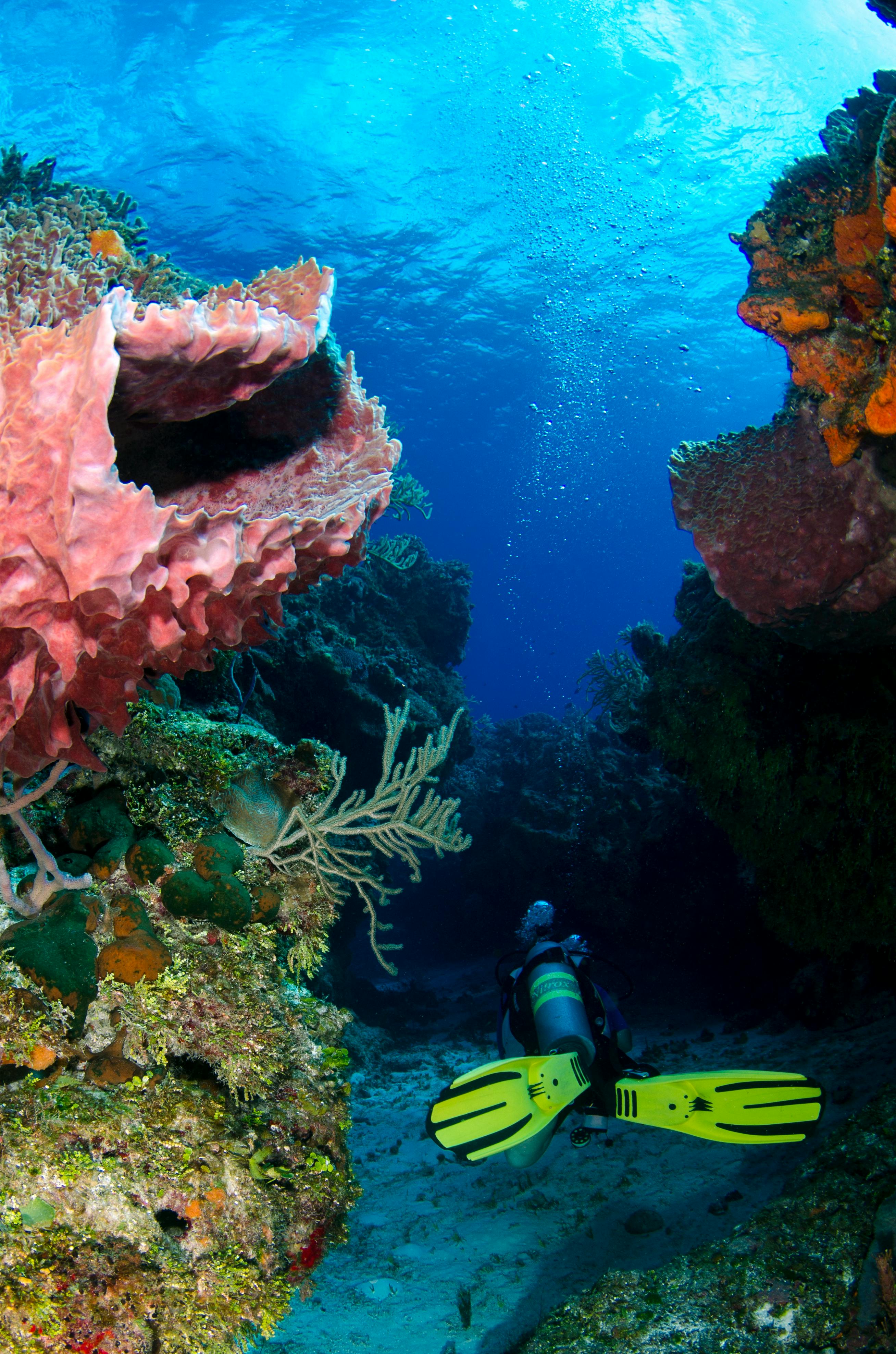 Rainbow Reef Dive Center